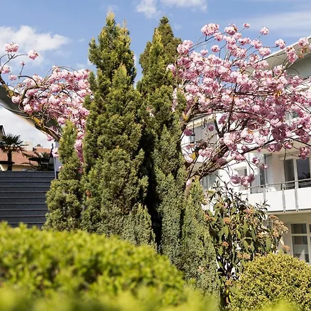 Zeppelin - Original Hotel Friedrichshafen